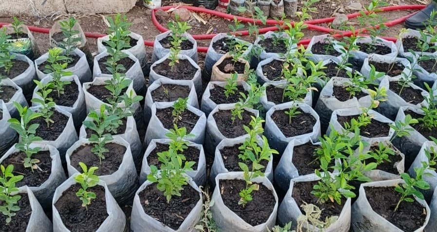 Initiatives pour un Développement Durable - Hero Image